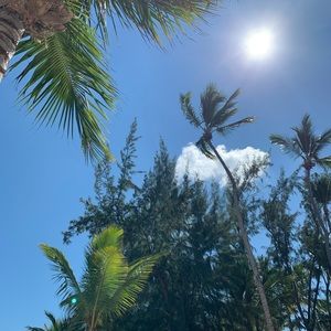 Meet your Posher, Dana